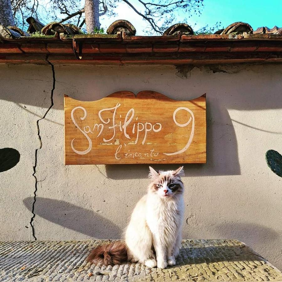 Villa San Filippo Arezzo Dış mekan fotoğraf