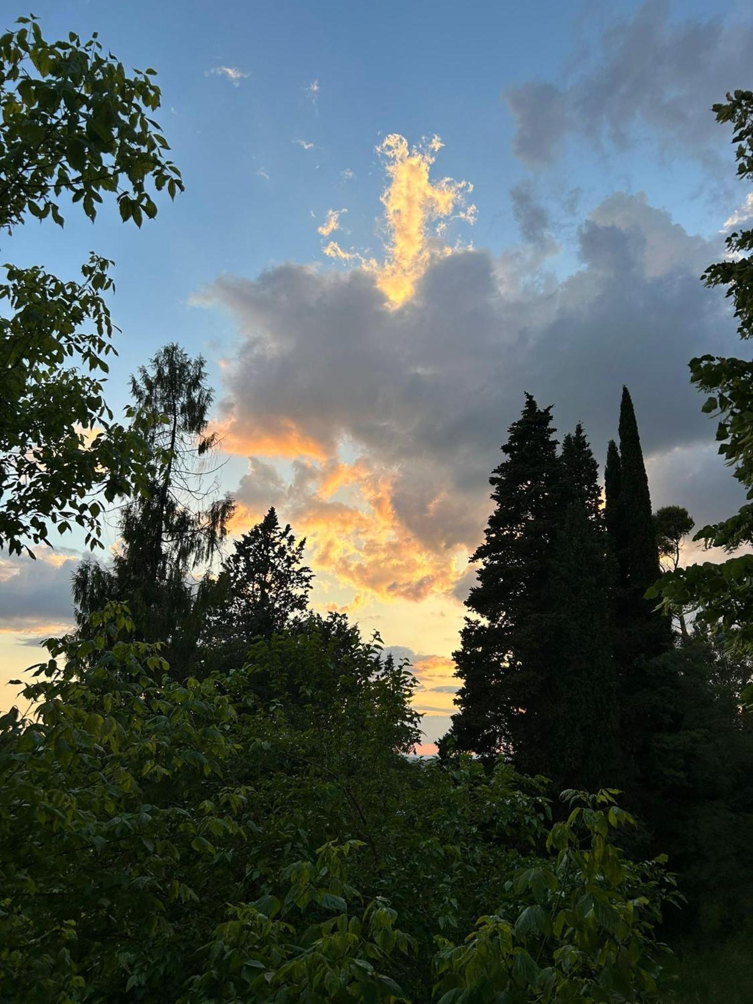 Villa San Filippo Arezzo Dış mekan fotoğraf